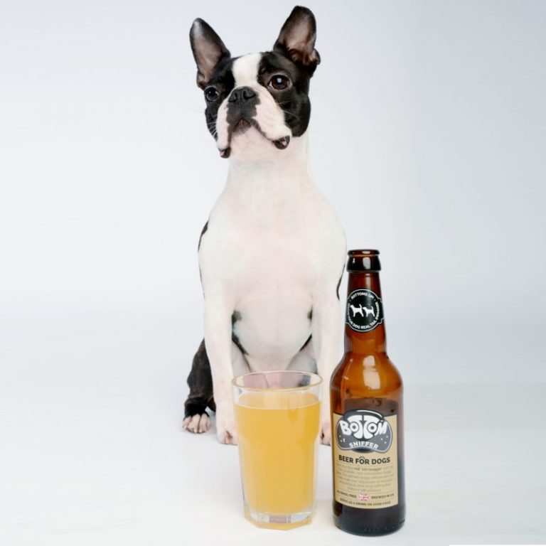 Buy Woof& Brew Bottom Sniffer Dog Beer, 300ml Online at Low Price in ...