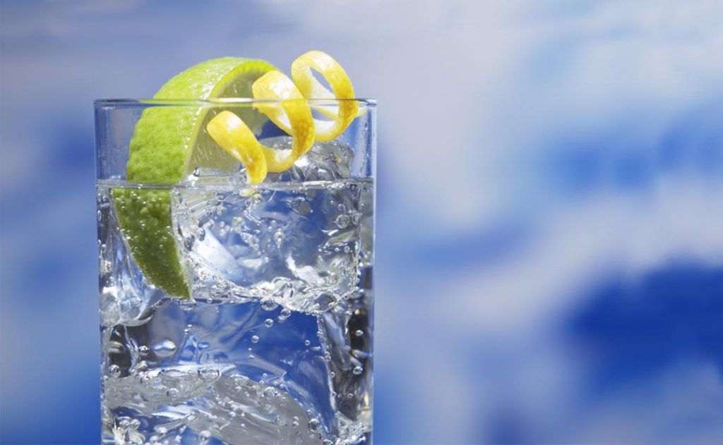 Does Gin Help with Weight Loss?