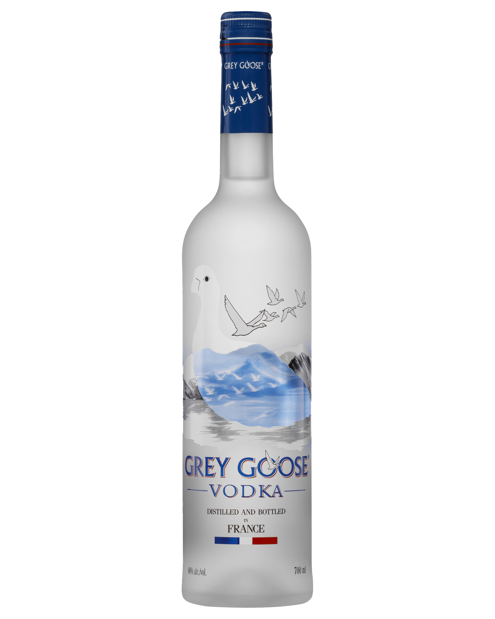 Grey Goose Vodka 700mL Spirits case of 6