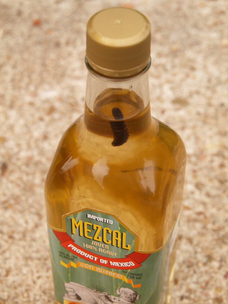 Houston Texas A bottle of Mezcal tequila with the Worm ins