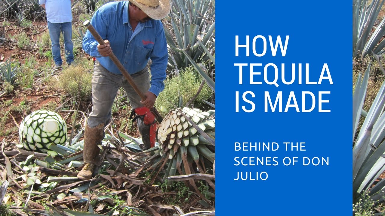 How Tequila Is Made: Behind The Scenes of Don Julio ...