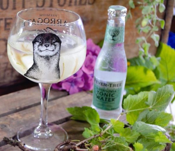 How to Make the Perfect Gin and Tonic
