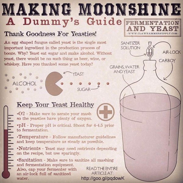 Making Moonshine