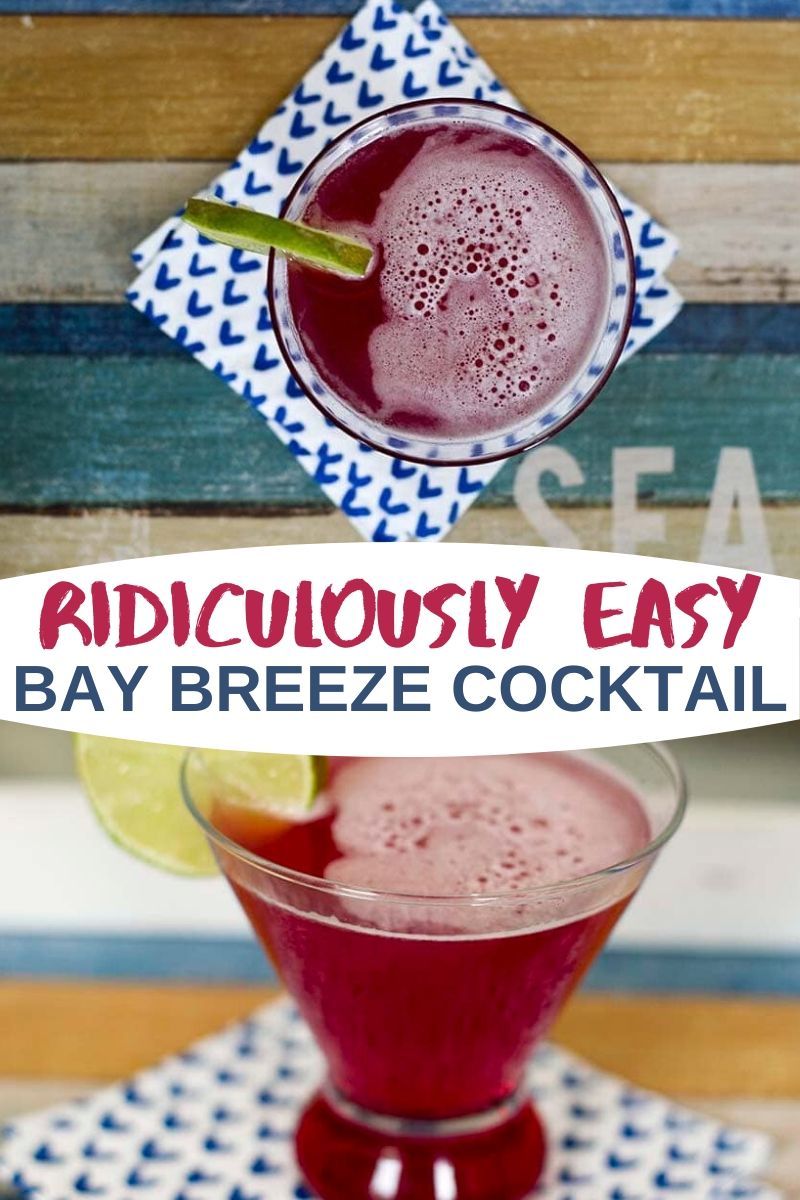 Ridiculously Easy Bay Breeze Cocktail Recipe in 2020 ...