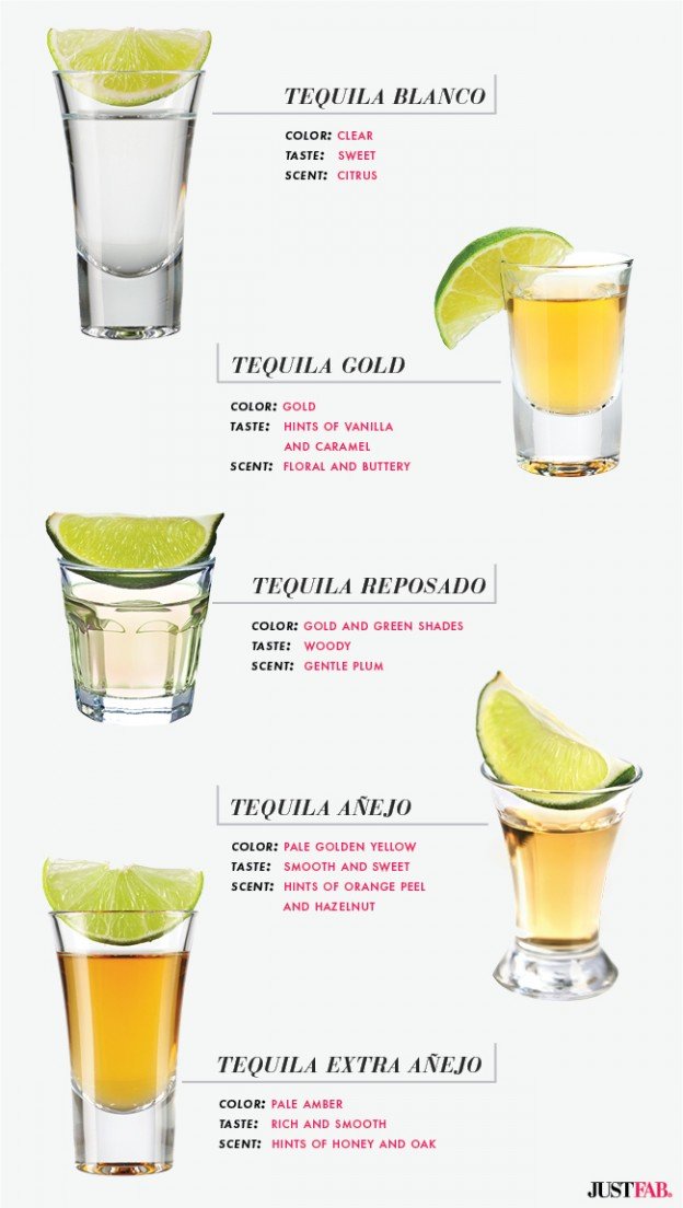 Tequila 101 For This Cinco de Mayo